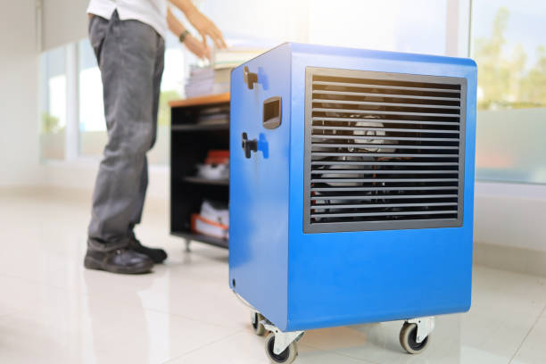 Best Dehumidification Services  in Stamps, AR